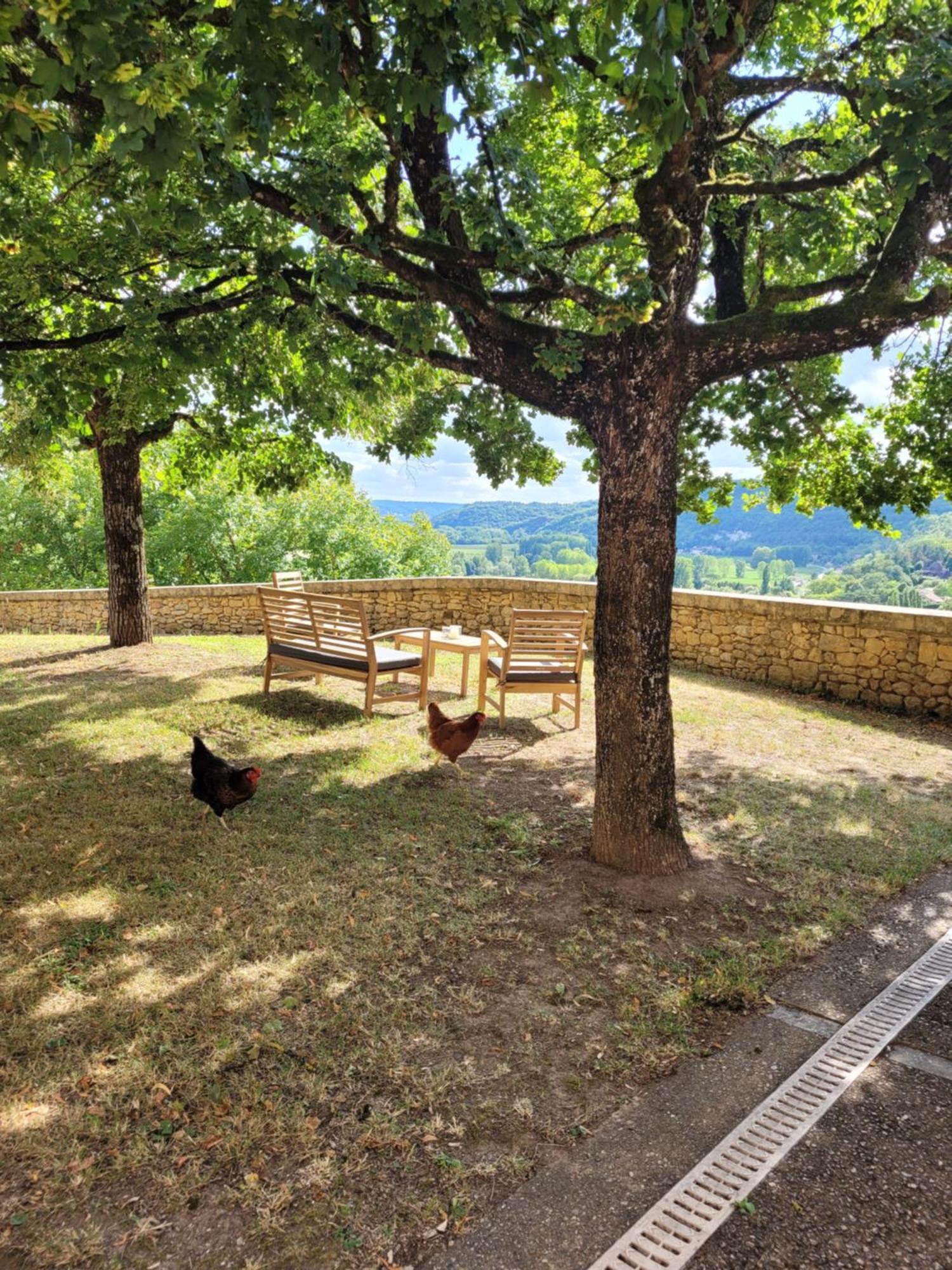 Le Baron Perche Villa แซงต์-ซีเพรียง ภายนอก รูปภาพ